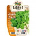 Genoese basil born and raised in Italy leaflet