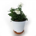 Verbena vase 14cm white