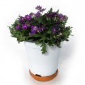 Vase Verveine 14cm Violet