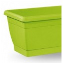 Pudełko z zielonym anyżem Roxanne