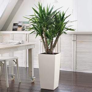 LECHUZA CUBICO Color 30, blanco, plástico de alta calidad, incluye sistema de riego, cobertor vegetal desmontable, p