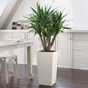 LECHUZA CUBICO Color 22, blanco, plástico de alta calidad, incluye sistema de riego, cobertor vegetal desmontable, p