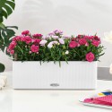 LECHUZA CUBE Color Triple, white, high-quality plastic, incl. Support for balcony box and stick irrigation system