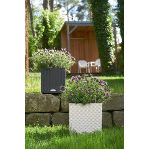 LECHUZA "CUBE Cottage 30" Pflanzgefäß mit Erd-Bewässerungs-System, Blanco, 30 x 30 x 30 cm
