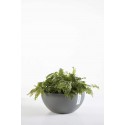Ashortwalk ECOPOTS Brussels - Vaso per piante in plastica riciclata, diametro 30 cm x altezza 14 cm