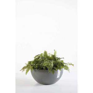 Ashortwalk ECOPOTS Brussels - Vaso per piante in plastica riciclata, diametro 30 cm x altezza 14 cm