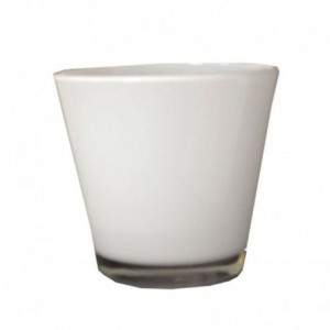 Glass Vase Conner White...