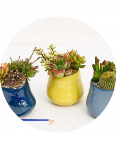 Vasetto Blu Azzurro Lime