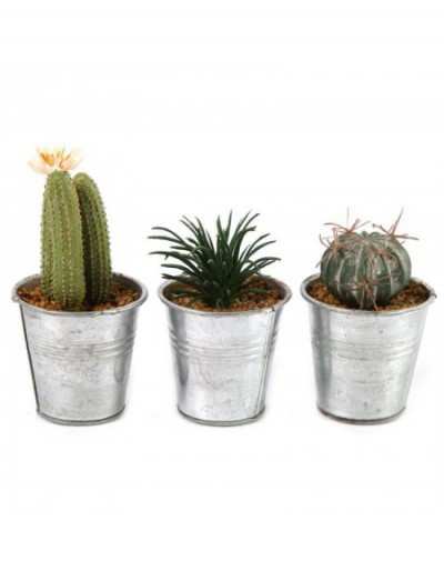 Cactus Artificial Plant in...