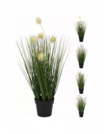 Decorative Grass in Pot 46 cm