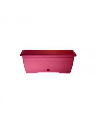 Cassetta Mini Oasi 35cm Fucsia