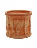Cylinder Vase Cypresses 15...