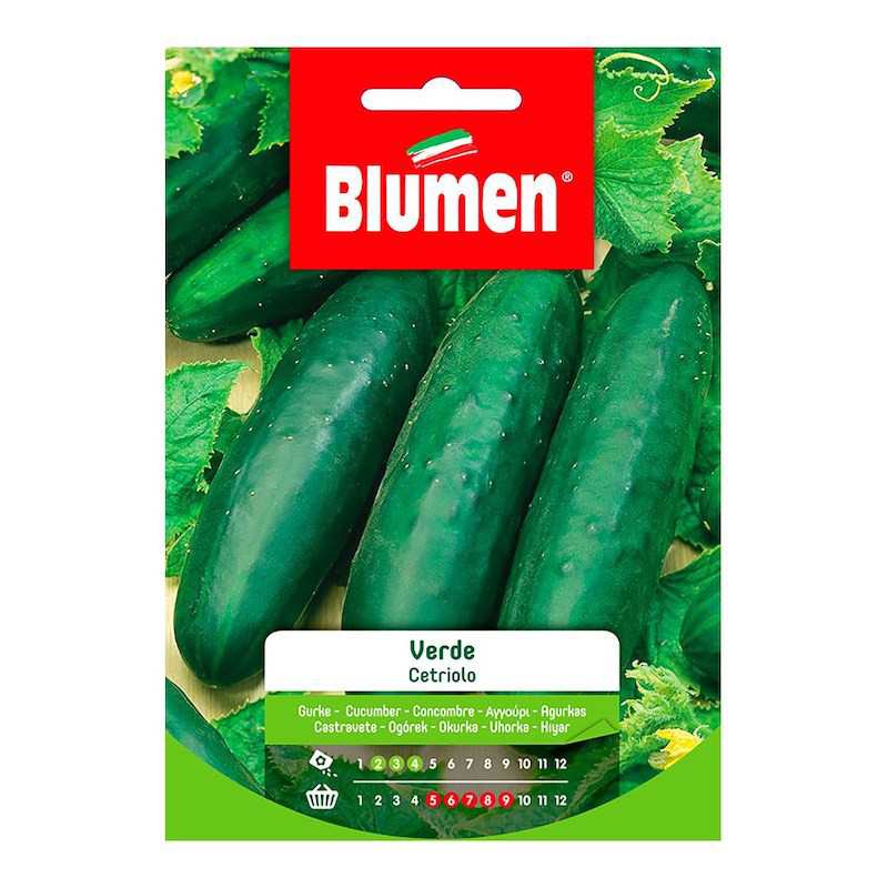 Green Cucumber Seeds in Bag