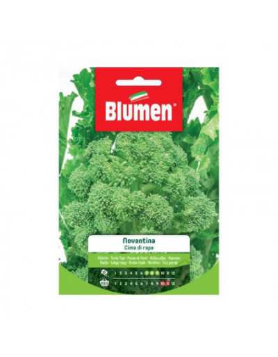 Semi di Cima di Rapa...