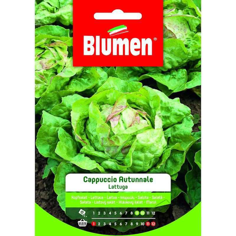 Autumn lettuce seeds in bag