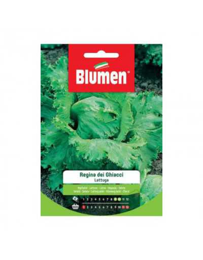 Ice Queen Lettuce Seeds in Bag