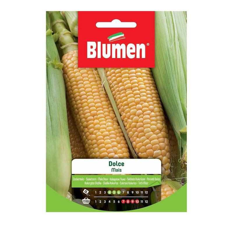 Sweet Corn Seeds in Bag