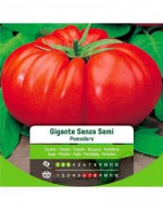 Jätte fröfria tomatfrön i påse