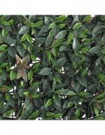 Verdecor Photinia haie