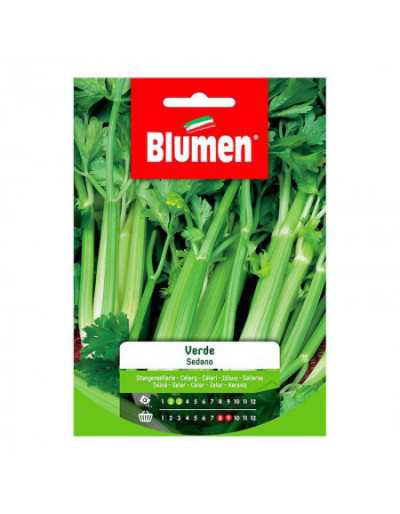 Green Celery Seeds in Bag