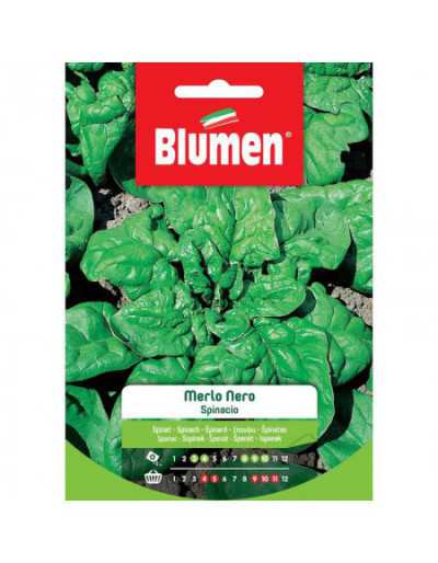 Black Merlo Spinach Seeds...