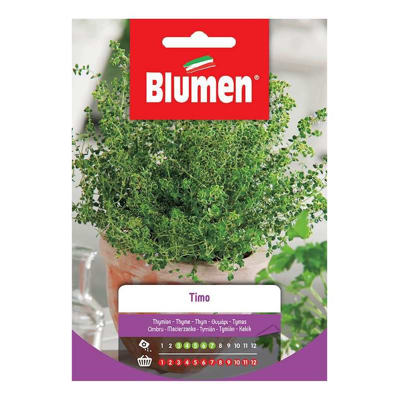Thyme Seeds in Bag