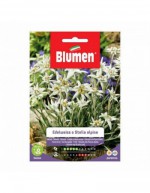 Edelweiss or Edelweiss...