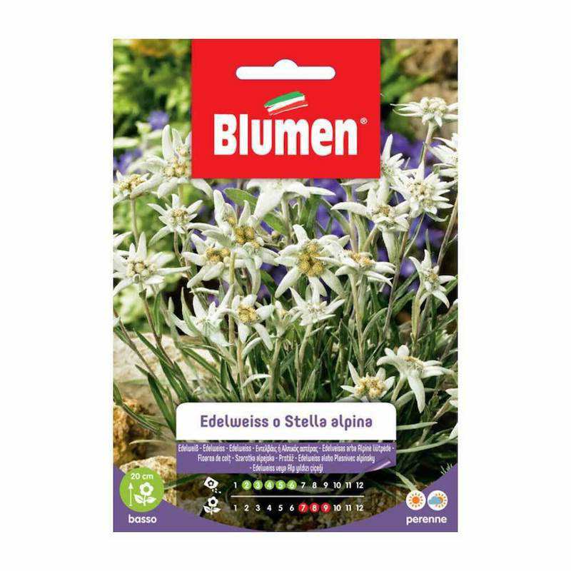 Edelweiss or Edelweiss... Edelweiss or Edelweiss...