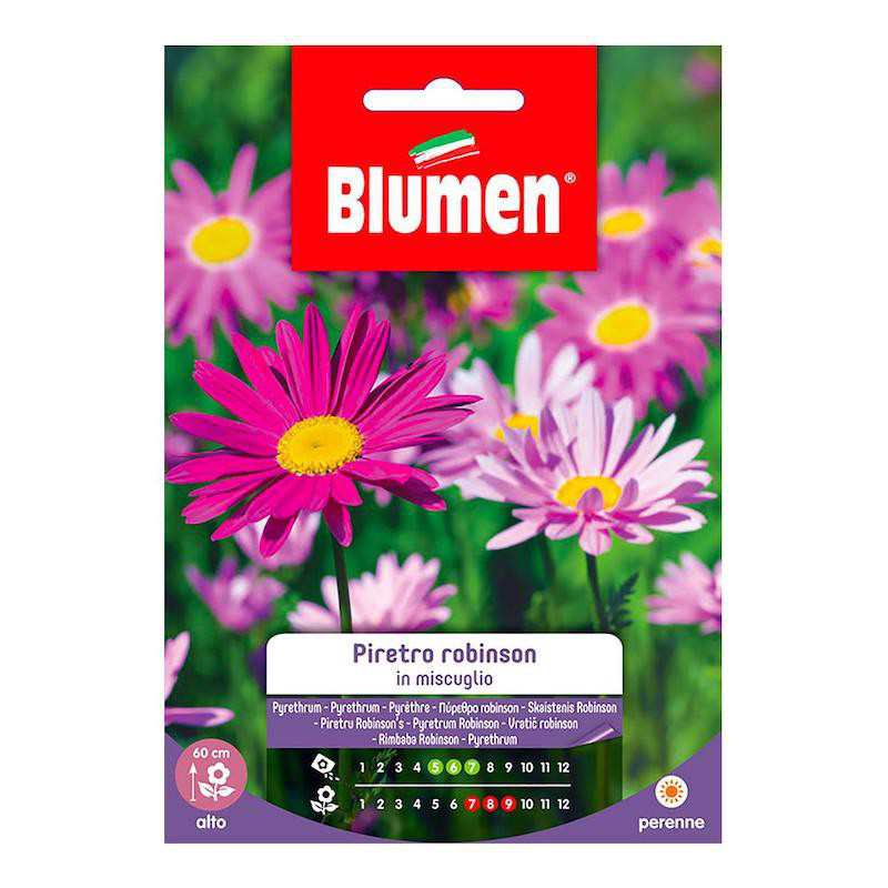 Semillas de Pyrethrum... Semillas de Pyrethrum...