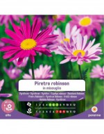 Semillas de Pyrethrum...
