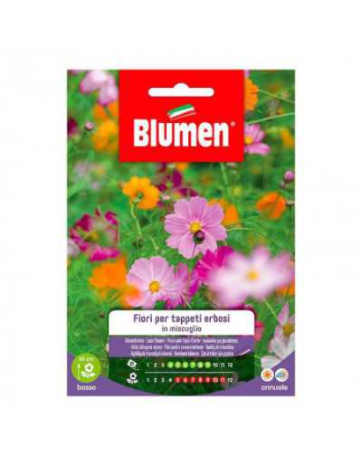 Mixed Turf Flower Seeds