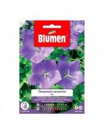 Semi di Campanula Carpatica...