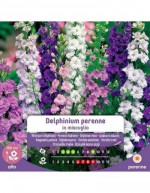 Mixed Delphinium Perennial...