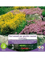 Annual Flower Seeds for...