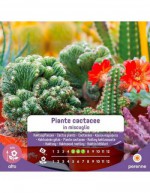 Cactaceae Plant Seeds in...