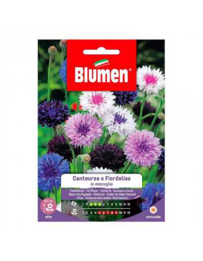 Graines de Centaurea ou...