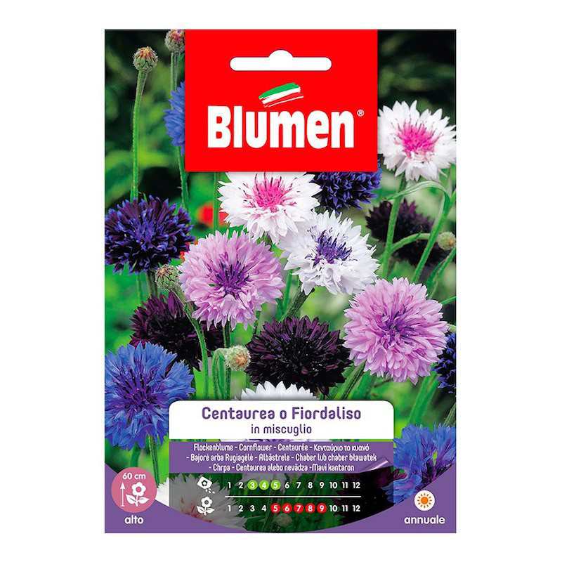 Samen von Centaurea oder... Samen von Centaurea oder...