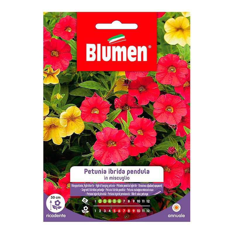 Petunia Hybrid Pendula...