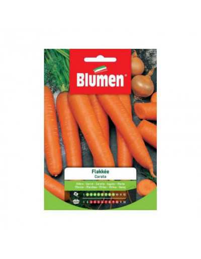 Flakke Carrot Seeds in Bag
