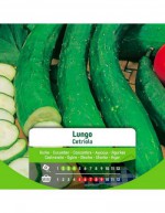 Long Cucumber Seeds in Bag