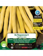Graines de Haricot Vert...