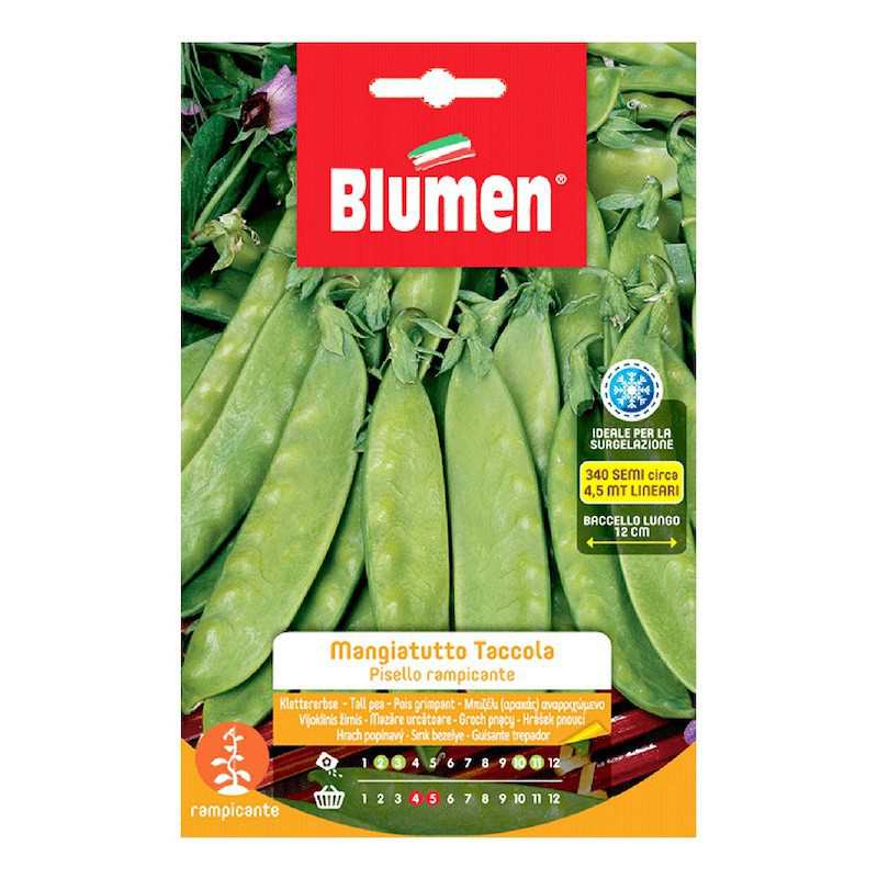 Taccola Climbing Pea Seeds... Taccola Climbing Pea Seeds...