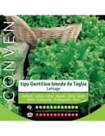Gentilina Bionda Salatsamen...