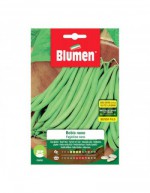 Graines de Haricot Vert...
