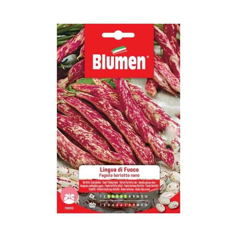 Dwarf Borlotti Beans Seeds... Dwarf Borlotti Beans Seeds...
