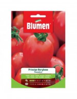 Prins Borghese tomatfrön i...