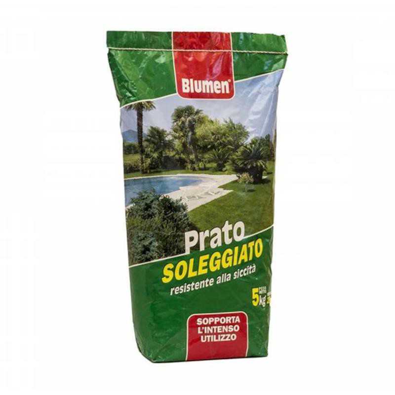 Sunny Lawn Seeds 5 kg