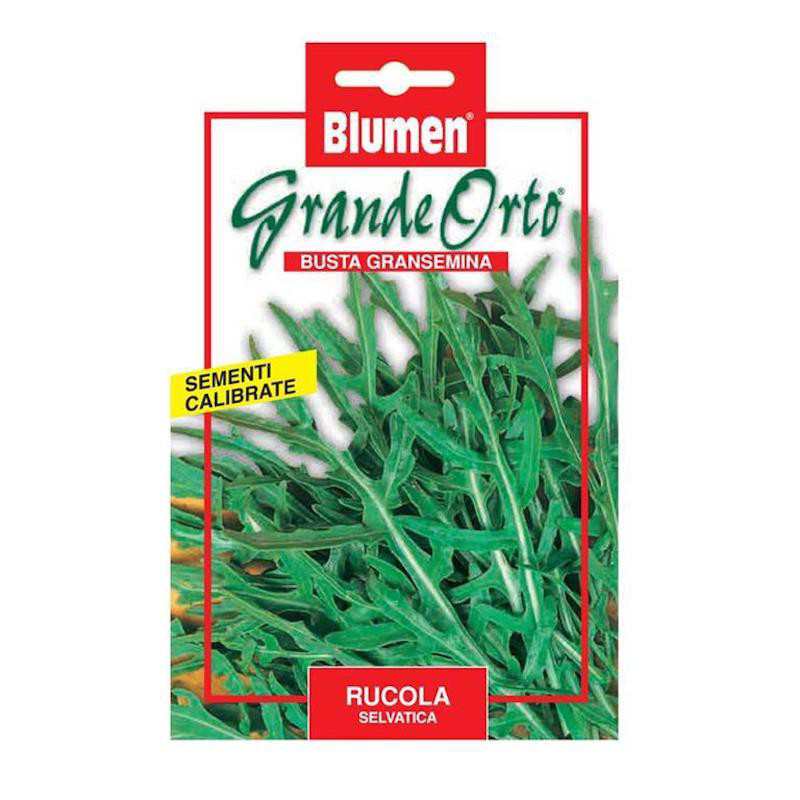 Wild Rocket Seeds - Maxi