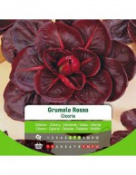 Grumolo Rosso Chicory Seeds...