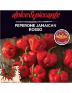 Jamaican Red Pepper Seeds 1...